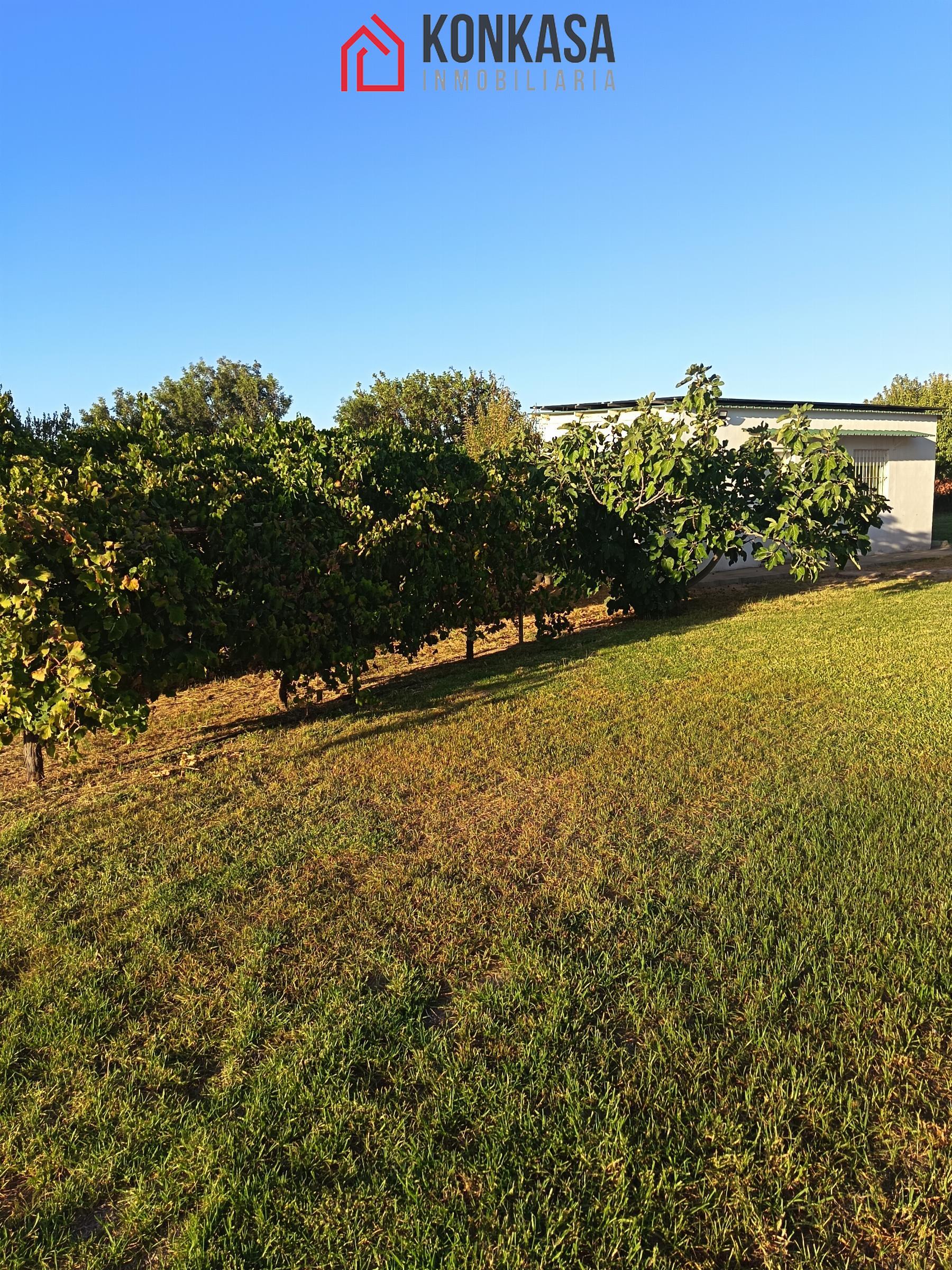 Venta de finca rústica en Arcos de la Frontera