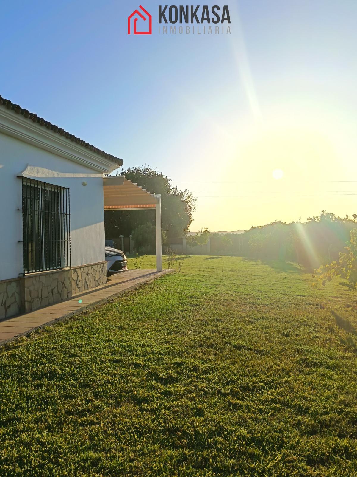 Venta de finca rústica en Arcos de la Frontera