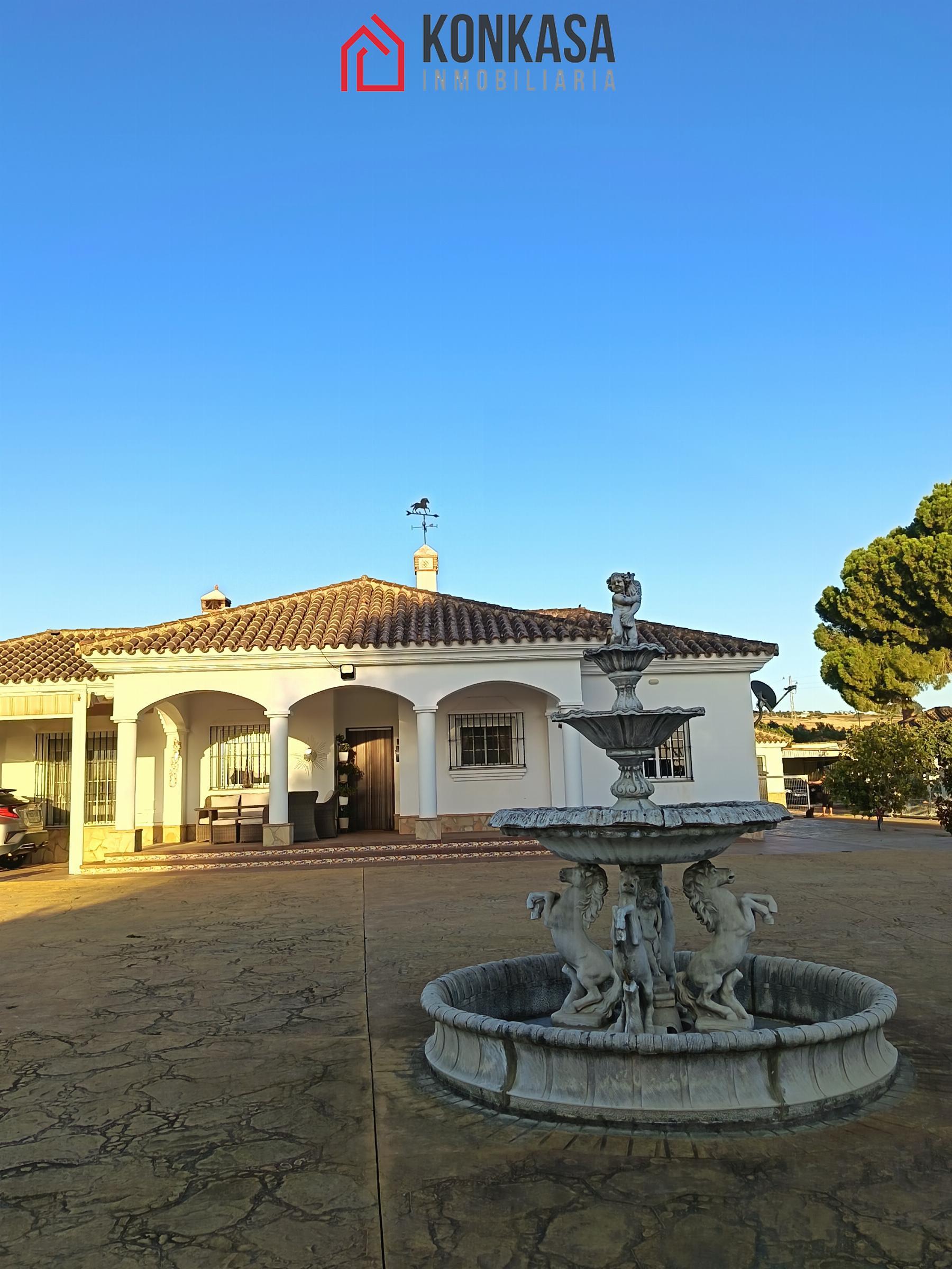Venta de finca rústica en Arcos de la Frontera