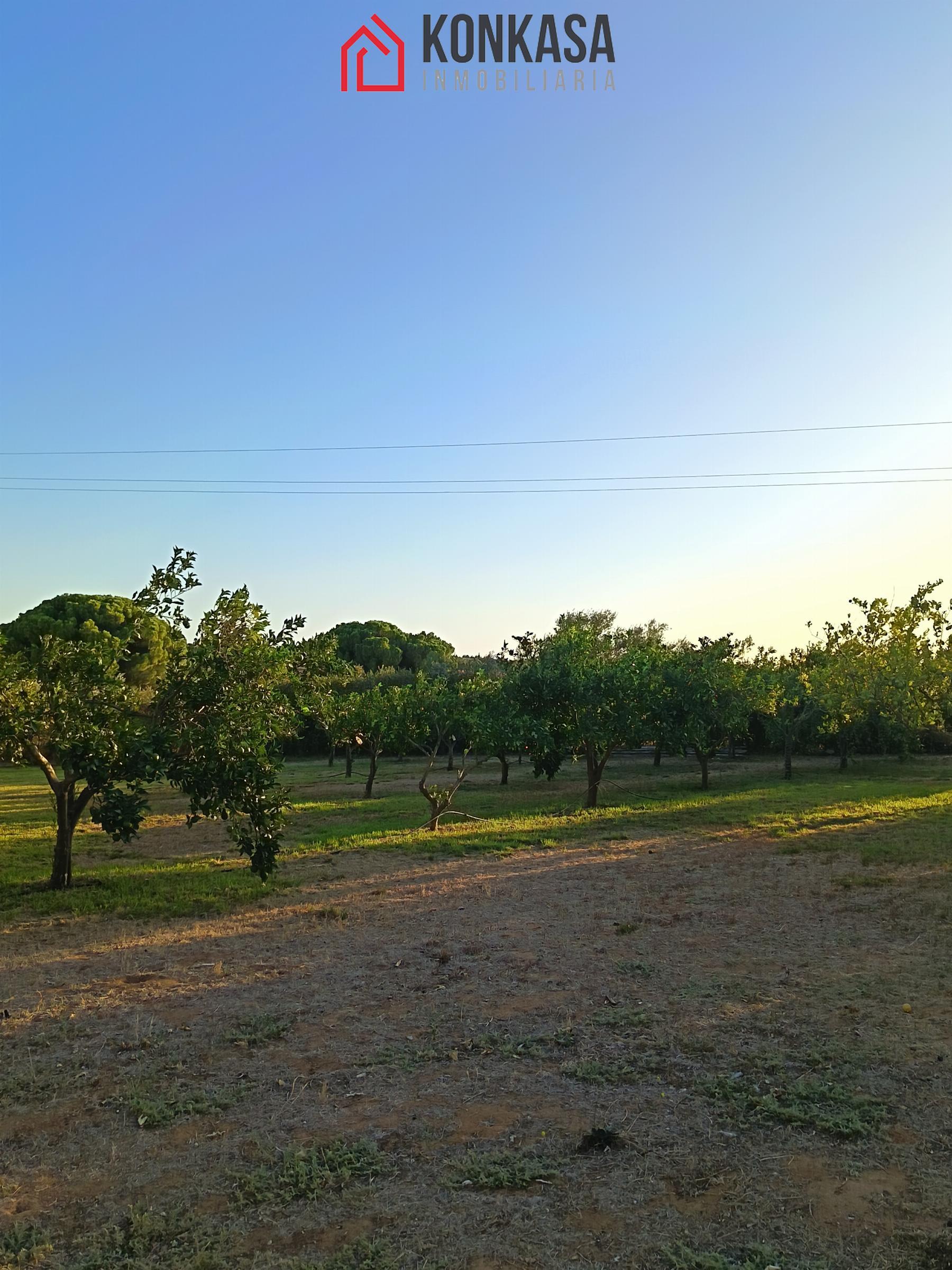 Venta de finca rústica en Arcos de la Frontera