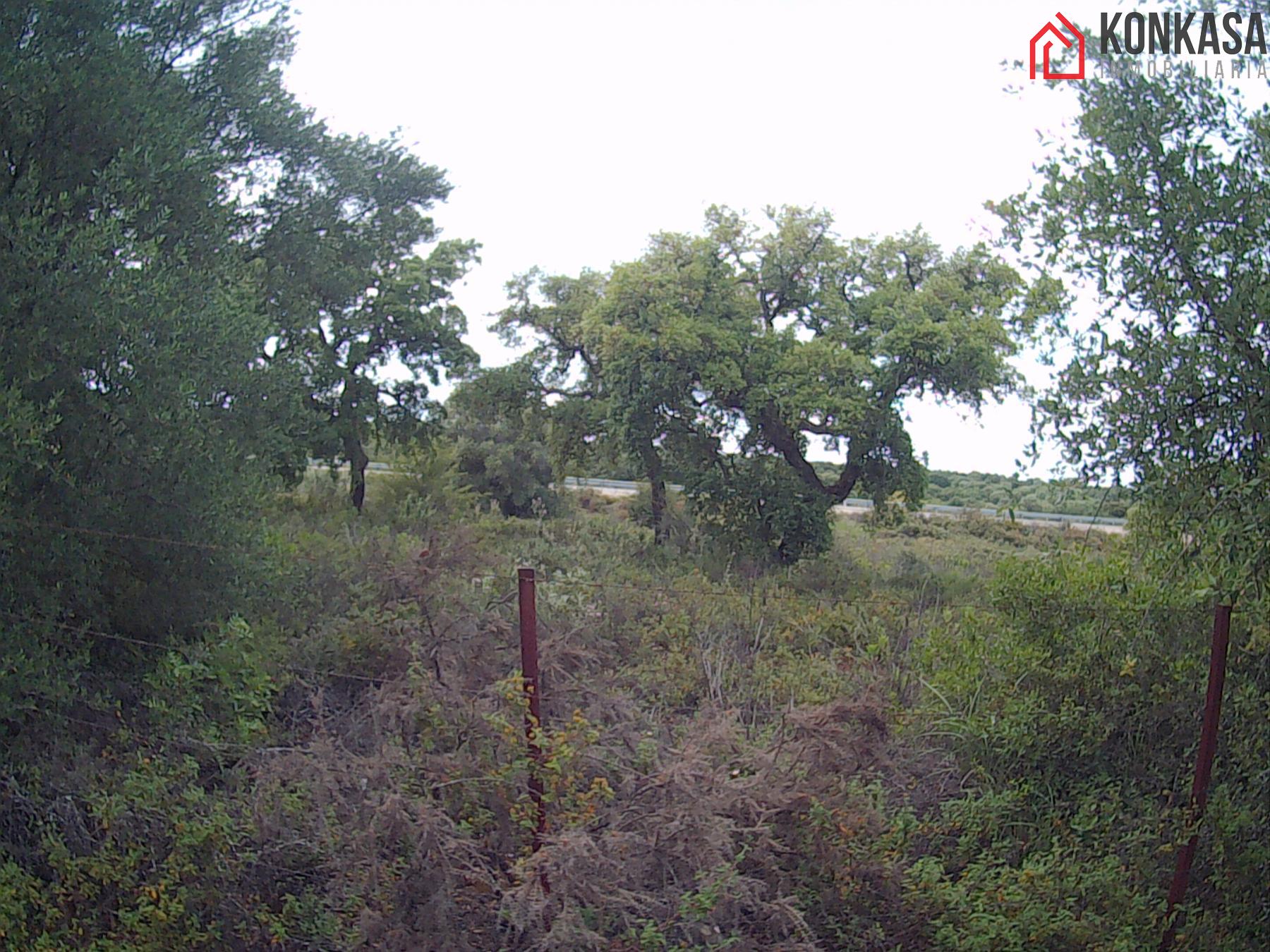 For sale of land in Arcos de la Frontera