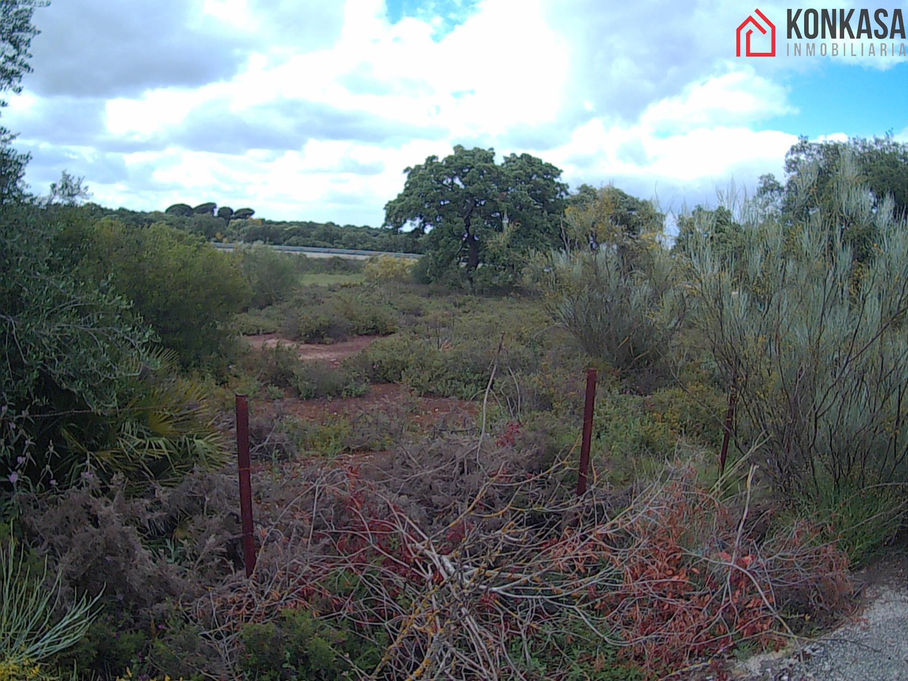 For sale of land in Arcos de la Frontera