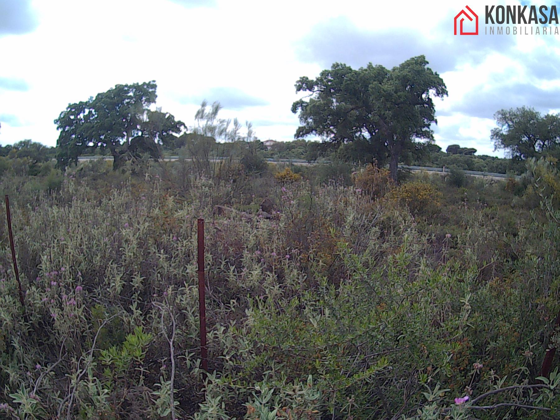 For sale of land in Arcos de la Frontera