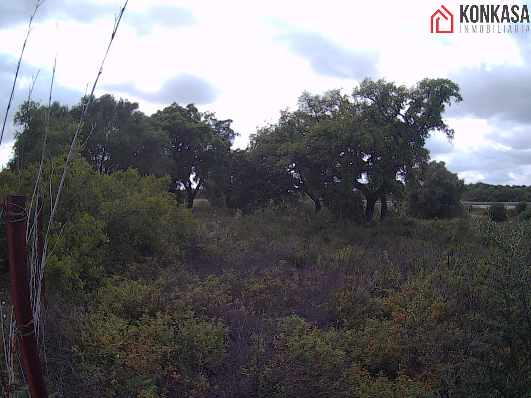 Venta de terreno en Arcos de la Frontera