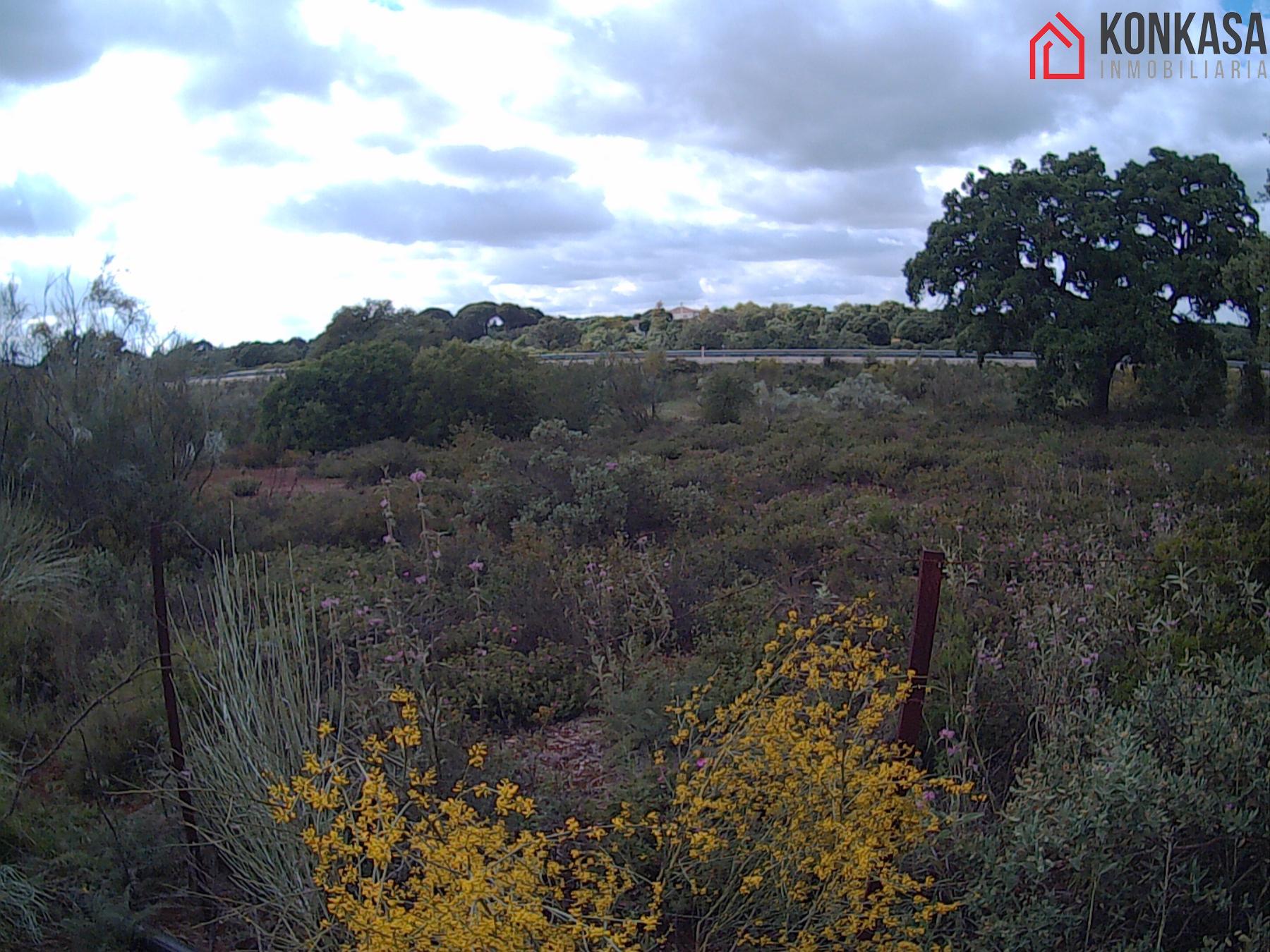 For sale of land in Arcos de la Frontera