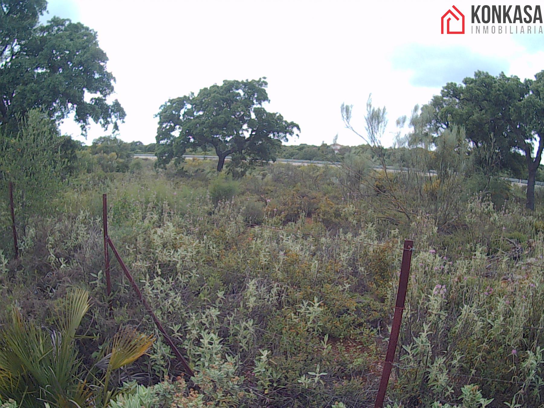 For sale of land in Arcos de la Frontera