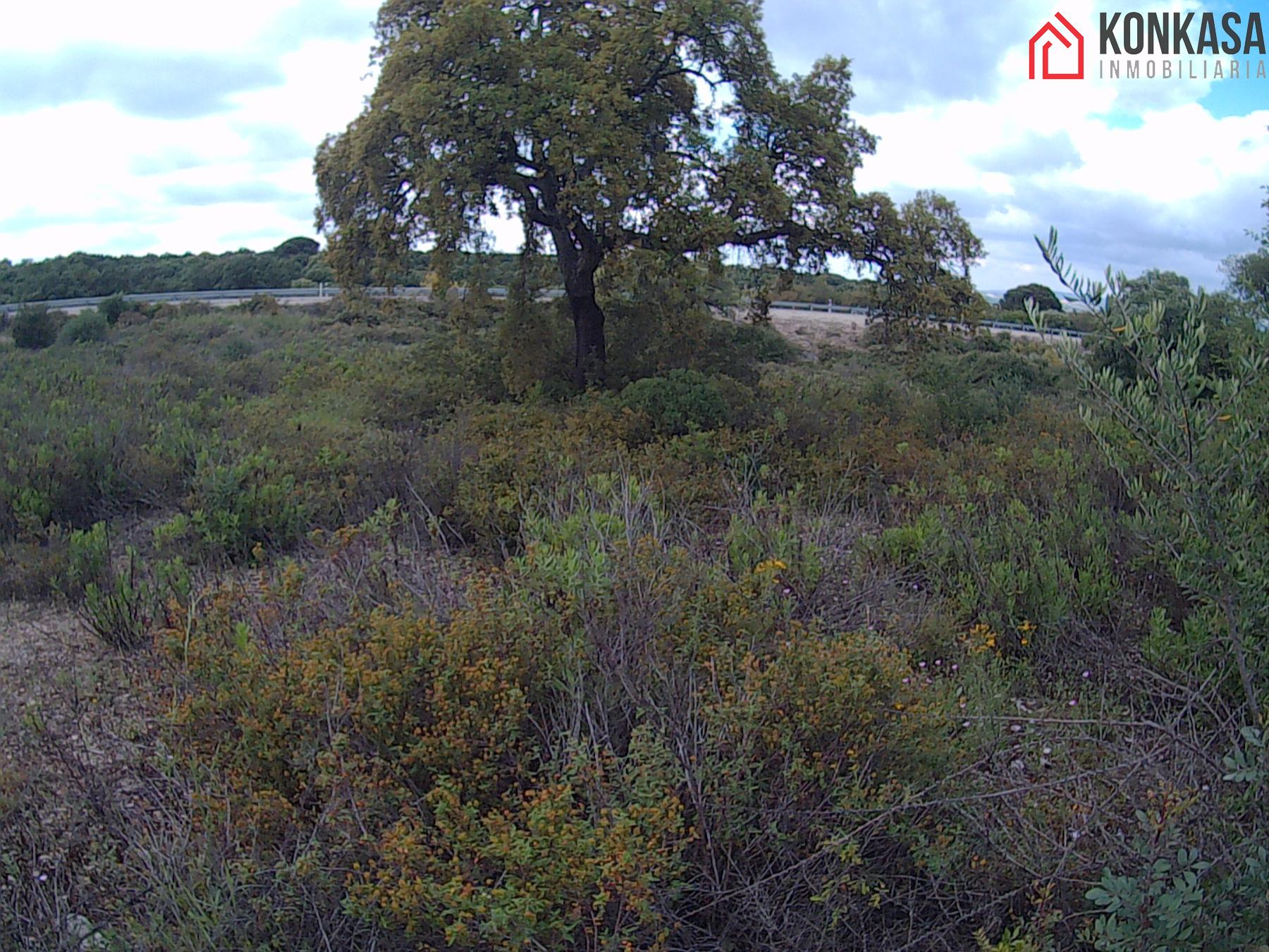 For sale of land in Arcos de la Frontera