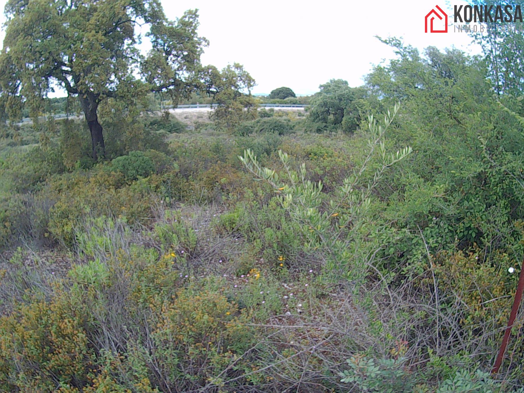 For sale of land in Arcos de la Frontera