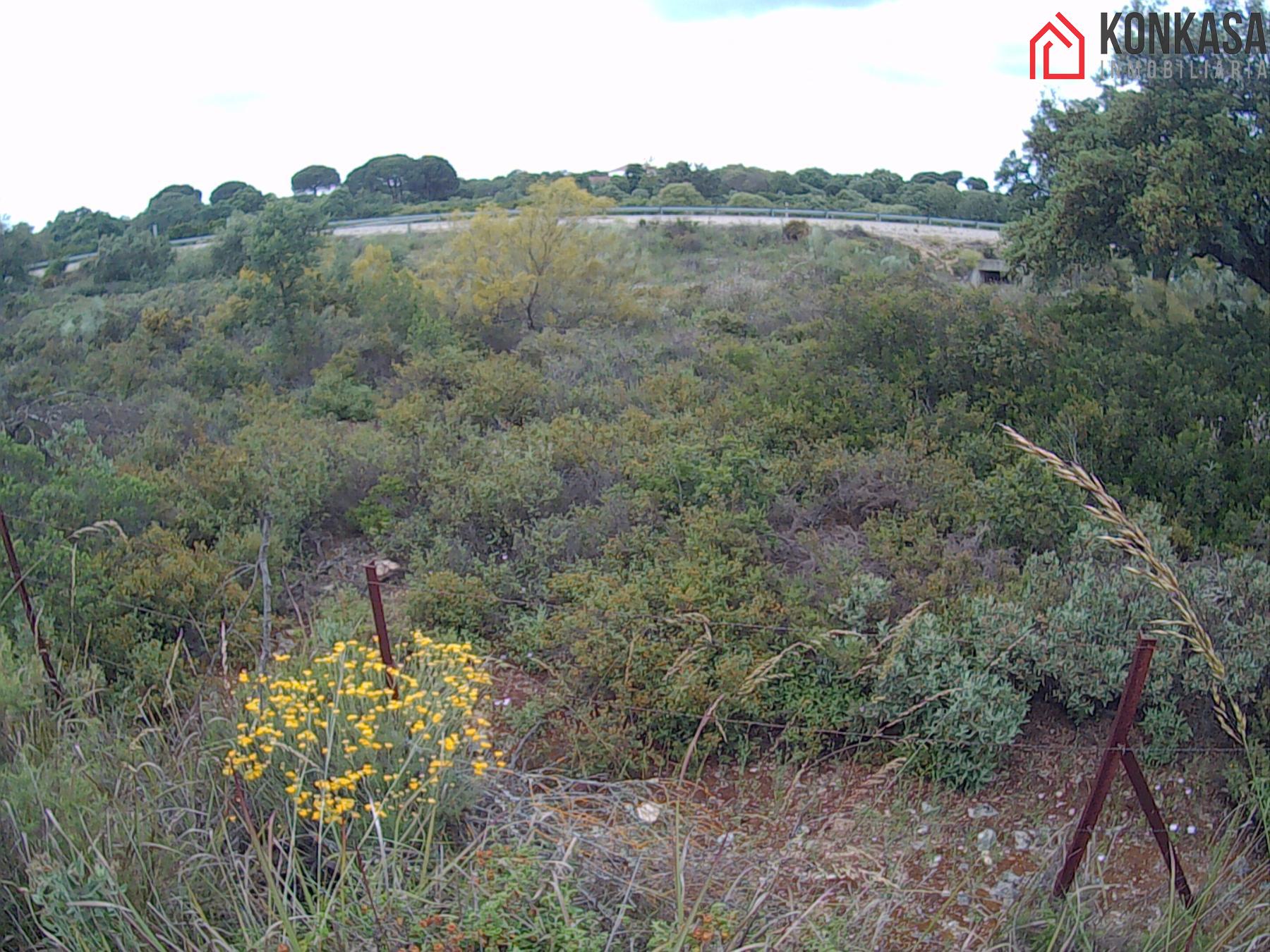 For sale of land in Arcos de la Frontera