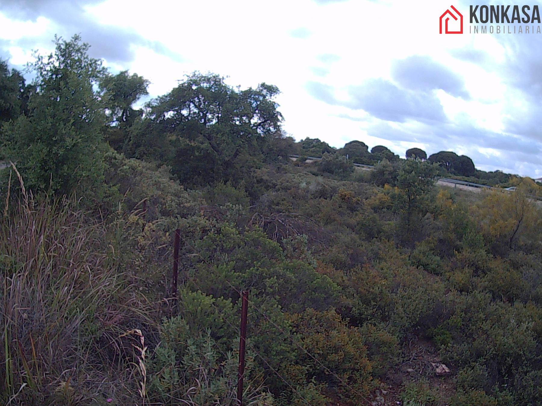 For sale of land in Arcos de la Frontera