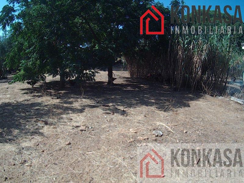 Venta de casa en Arcos de la Frontera