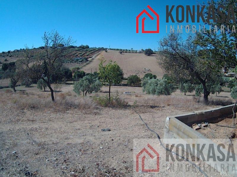 For sale of rural property in Arcos de la Frontera