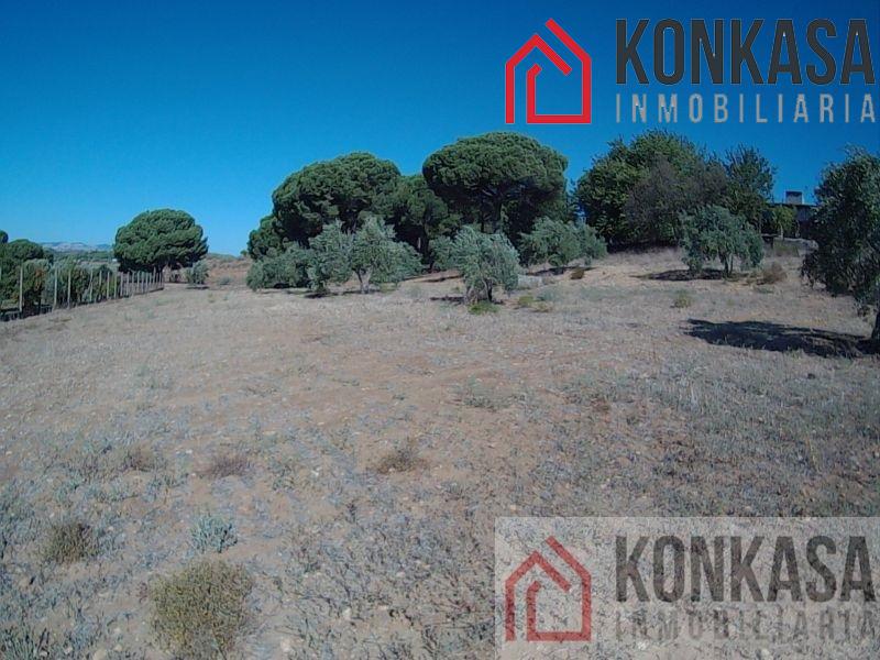 For sale of rural property in Arcos de la Frontera