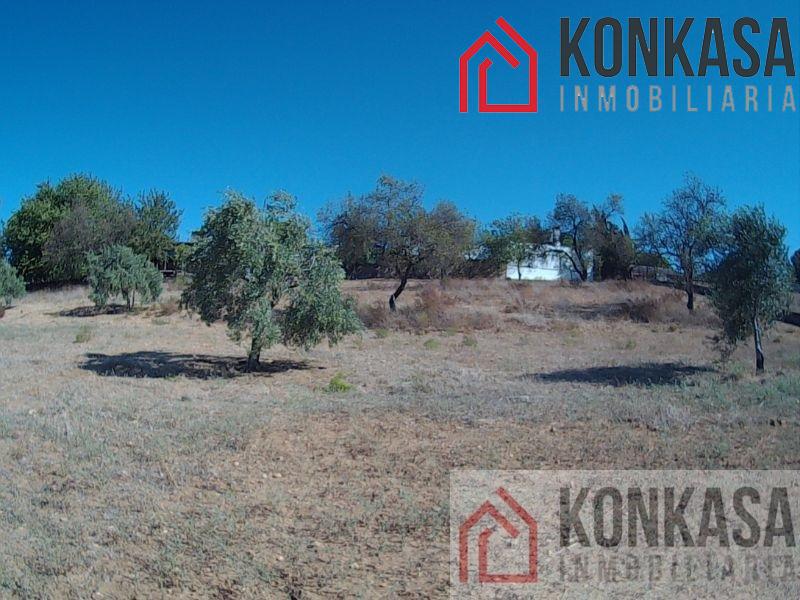 For sale of rural property in Arcos de la Frontera