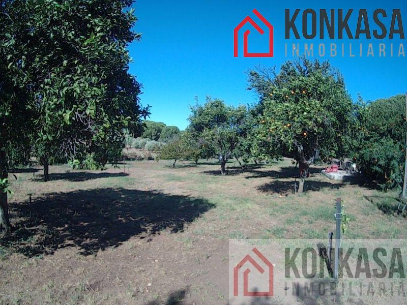 For sale of rural property in Arcos de la Frontera