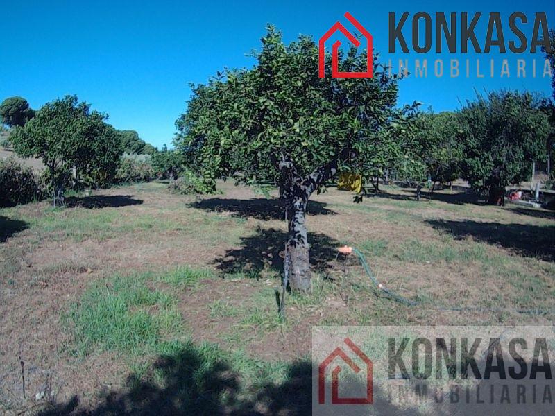 For sale of rural property in Arcos de la Frontera