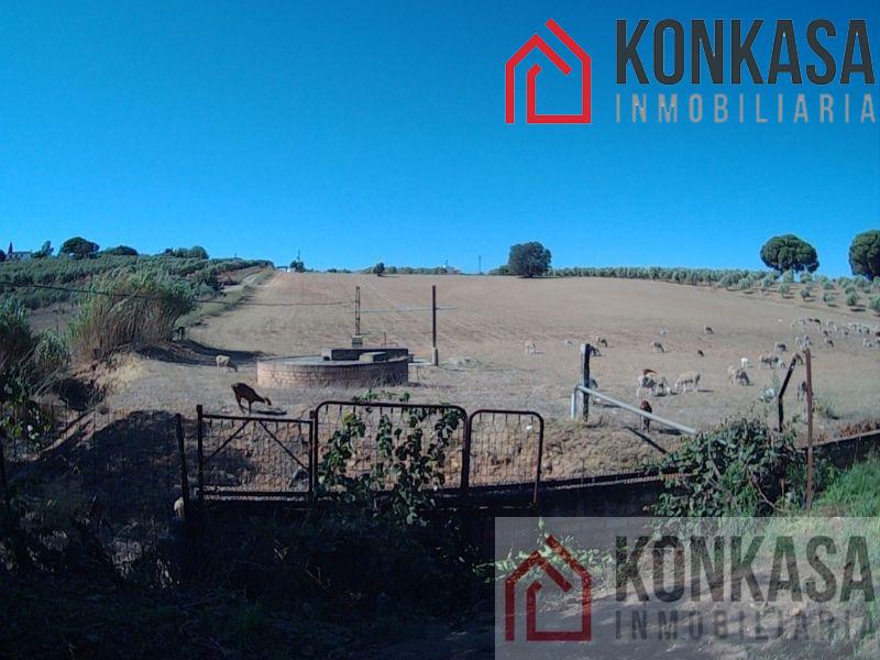 For sale of rural property in Arcos de la Frontera