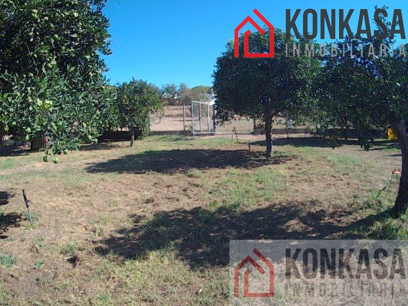 For sale of rural property in Arcos de la Frontera