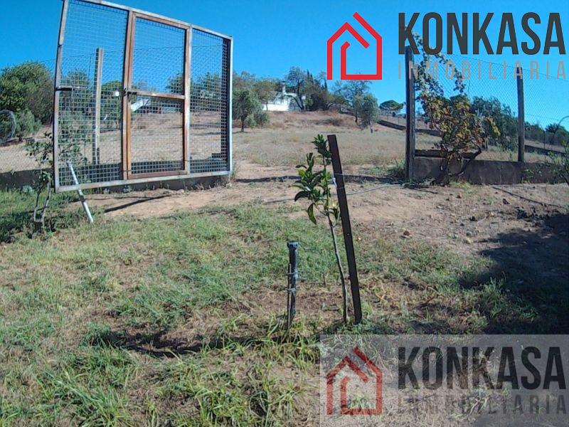 For sale of rural property in Arcos de la Frontera