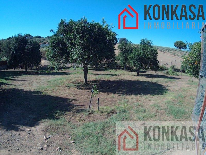 For sale of rural property in Arcos de la Frontera
