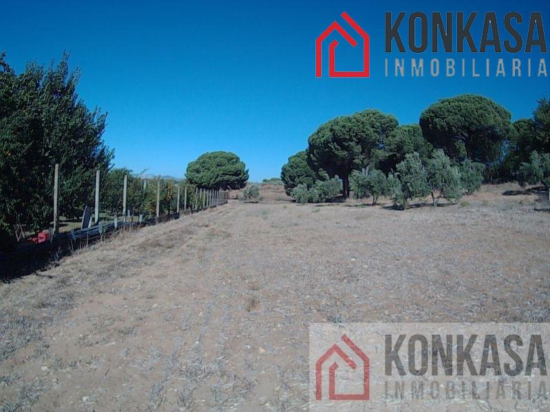 For sale of rural property in Arcos de la Frontera