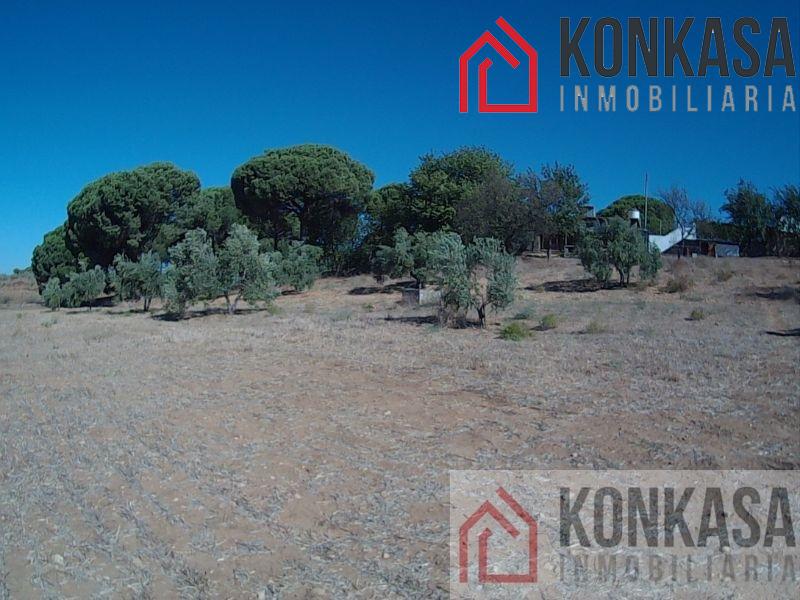 For sale of rural property in Arcos de la Frontera
