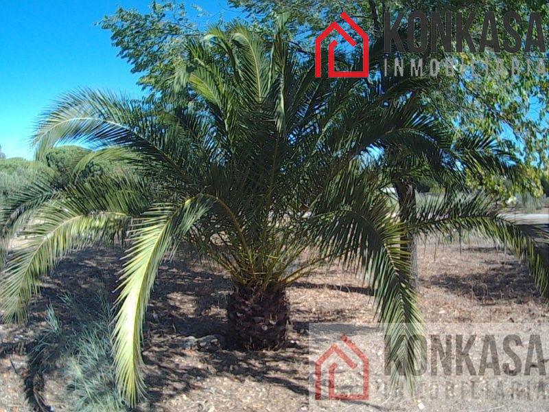 For sale of rural property in Arcos de la Frontera