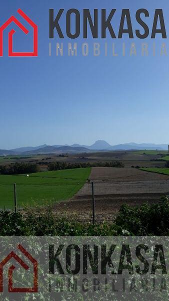 For sale of rural property in Arcos de la Frontera