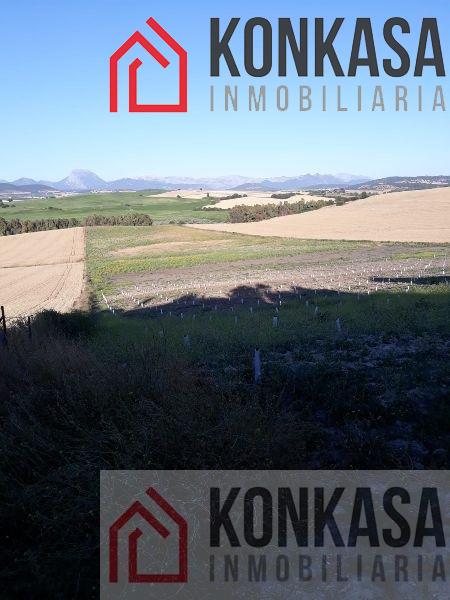 For sale of rural property in Arcos de la Frontera