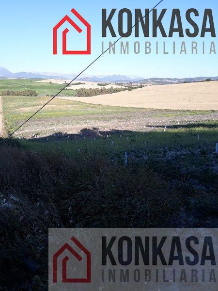 For sale of rural property in Arcos de la Frontera