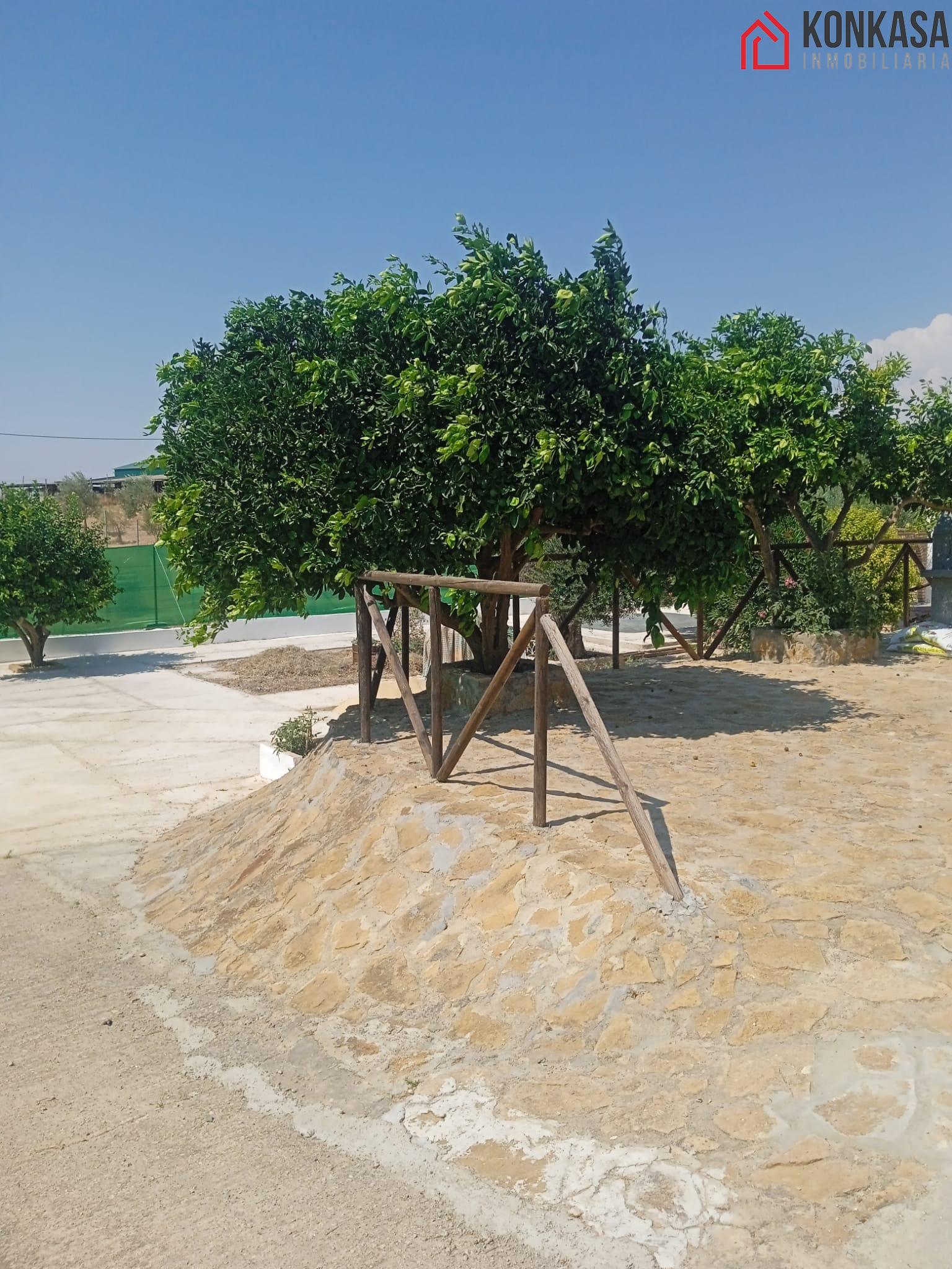 Venta de casa en Arcos de la Frontera