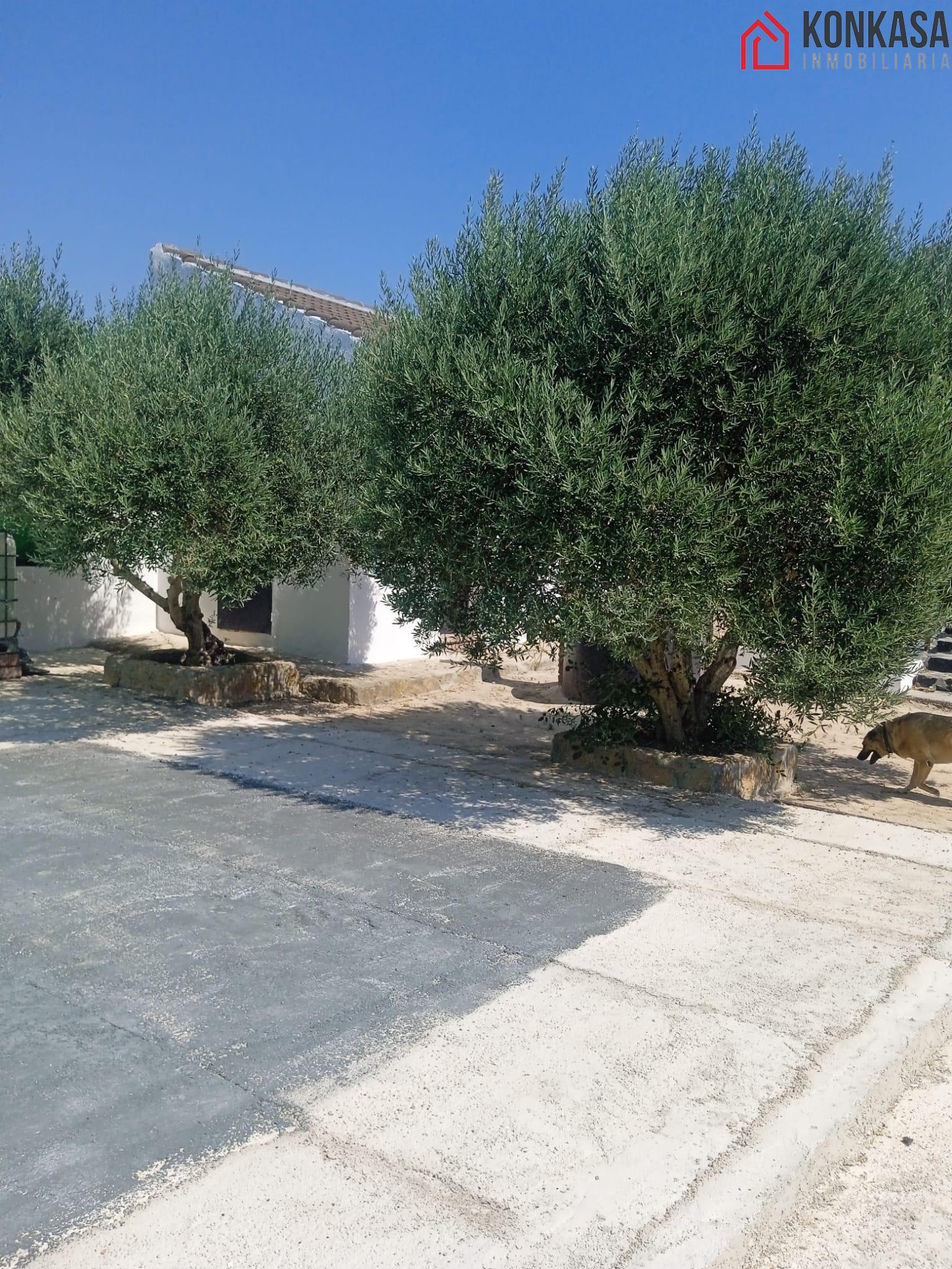 Venta de casa en Arcos de la Frontera