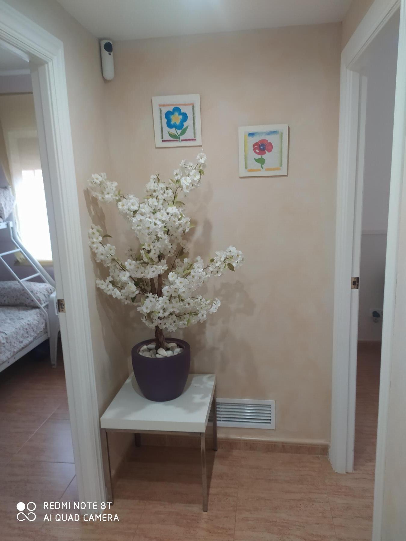 Alquiler de apartamento en Mar de cristal