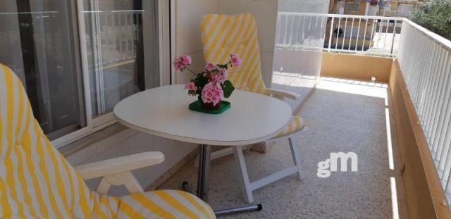 Alquiler de apartamento en Islas Menores