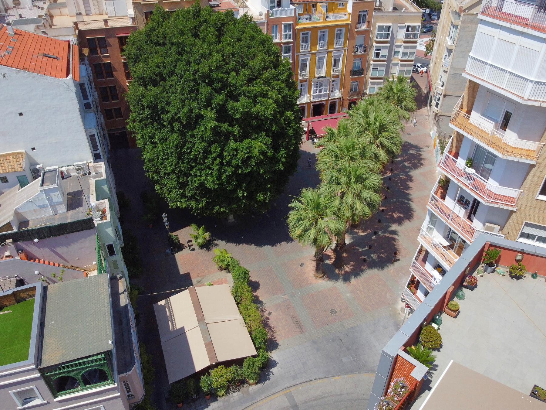 For rent of penthouse in Cartagena