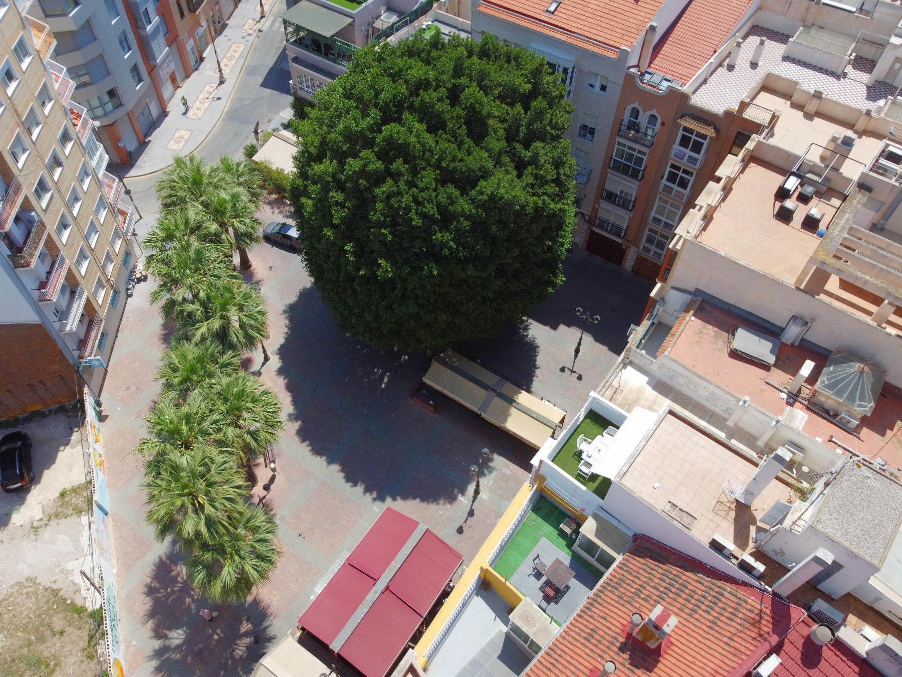 For rent of penthouse in Cartagena