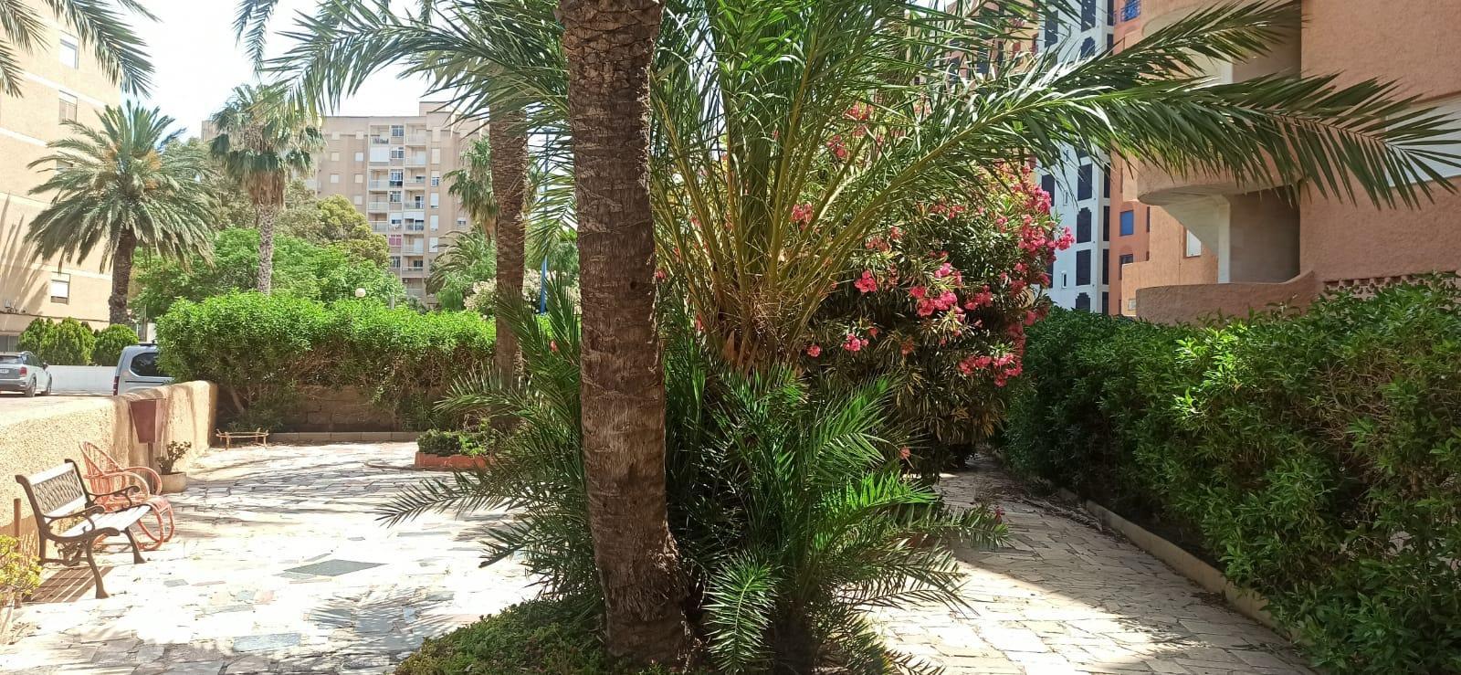For rent of apartment in La Manga del Mar Menor
