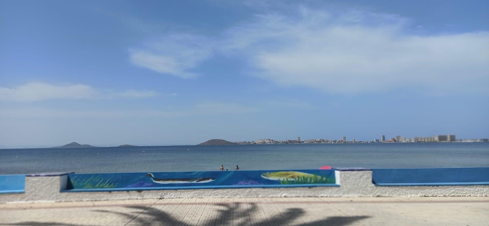For rent of apartment in La Manga del Mar Menor