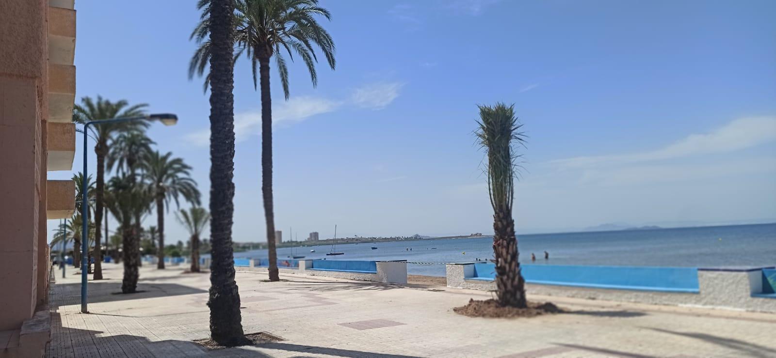 For rent of apartment in La Manga del Mar Menor