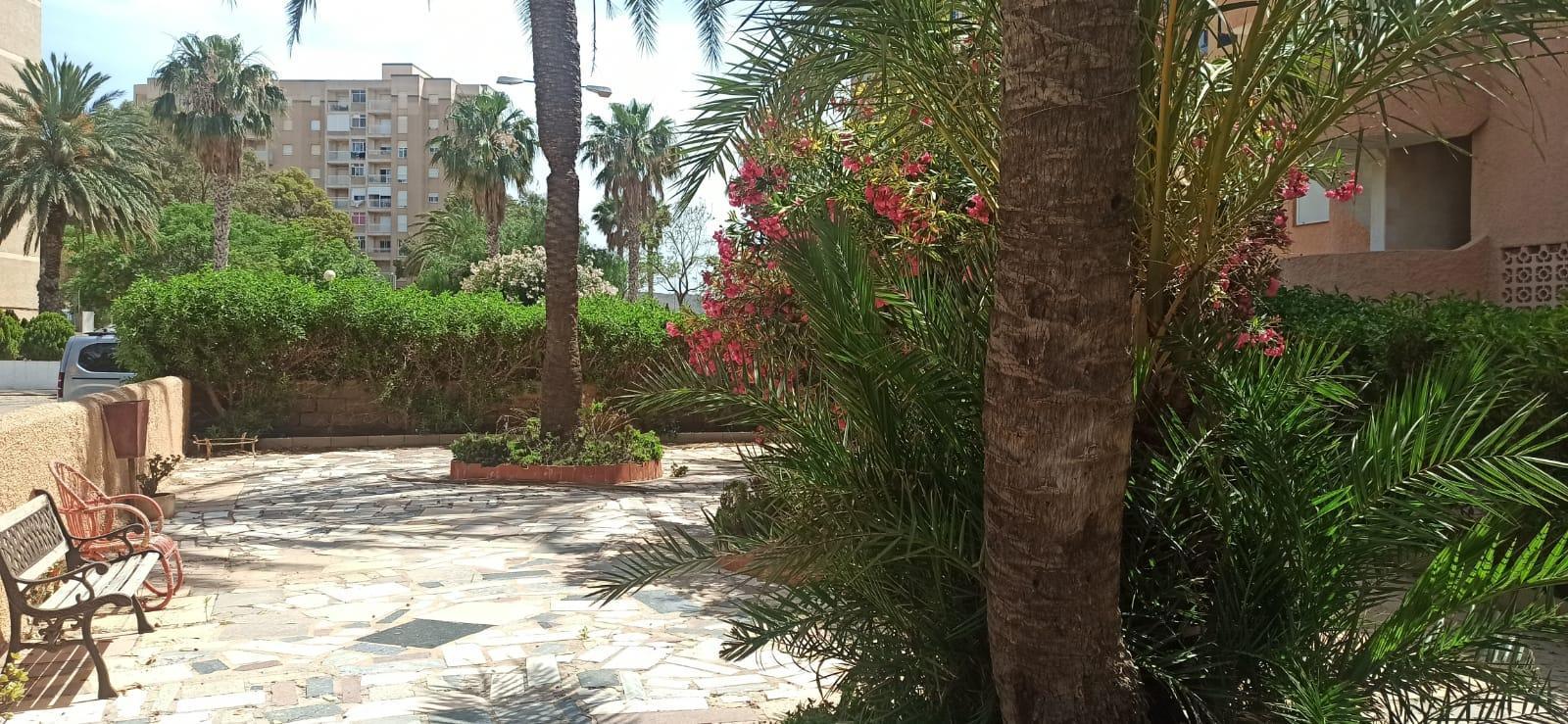 For rent of apartment in La Manga del Mar Menor