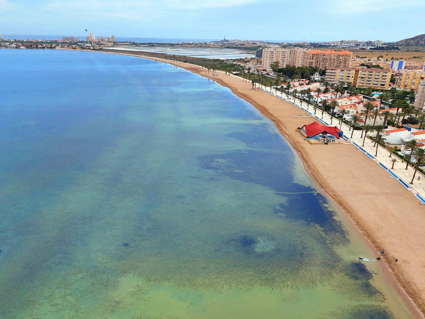 Alquiler de apartamento en La Manga del Mar Menor