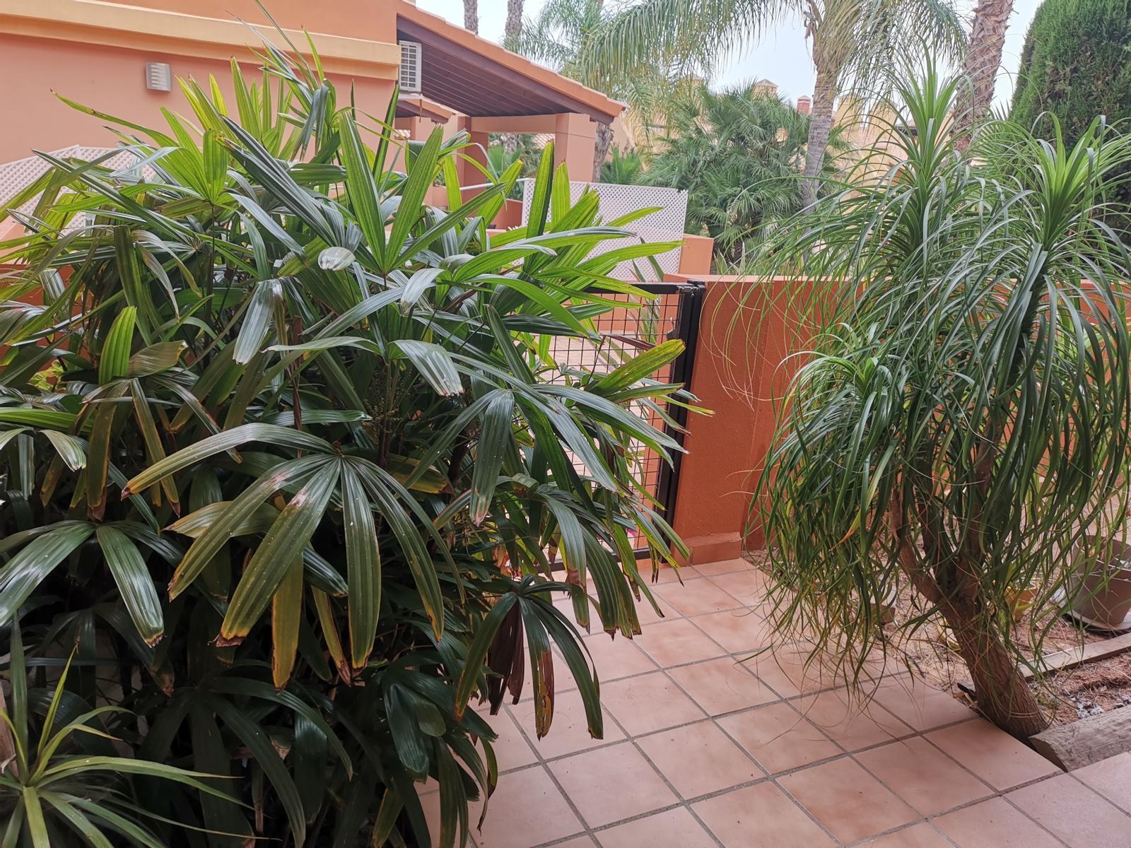 Alquiler de apartamento en Mar de cristal