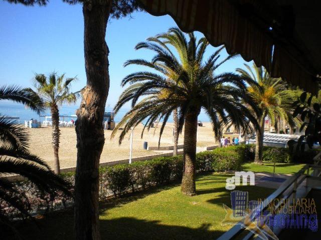 Alokairua  duplex  Cambrils