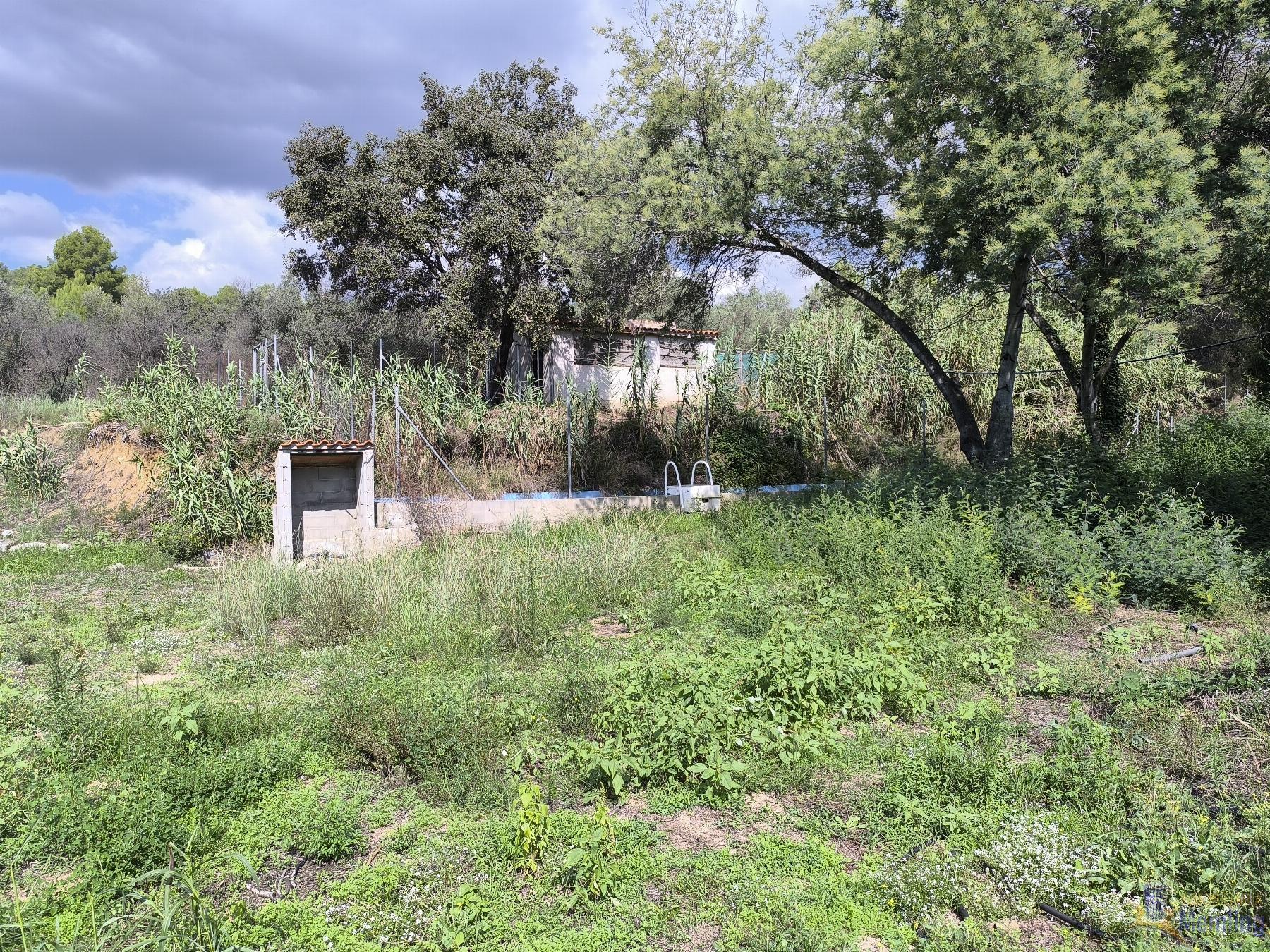 For sale of rural property in Reus