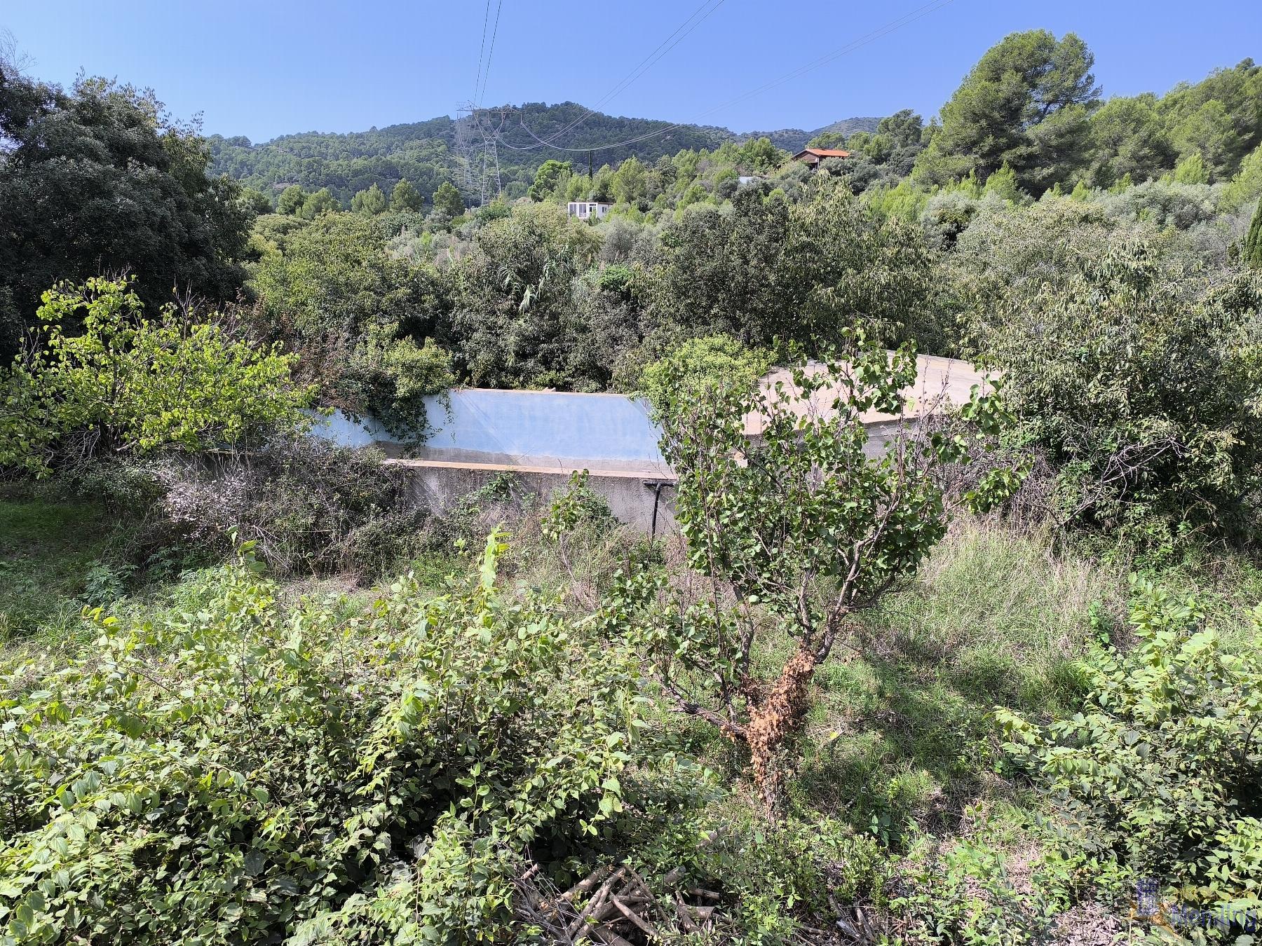 For sale of rural property in Reus