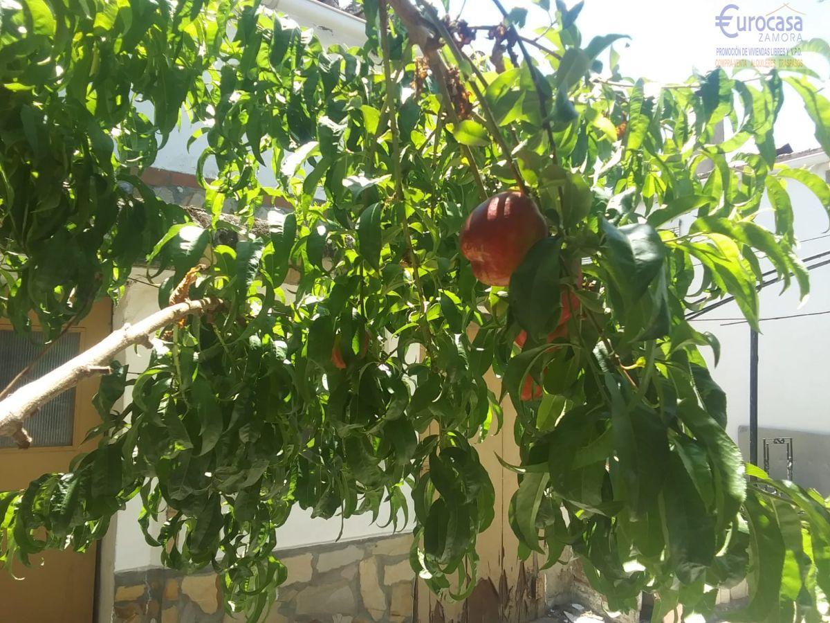 Venta de casa en Montamarta Venta de casa en Montamarta