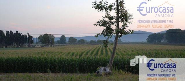 Venta de terreno en Villalazán