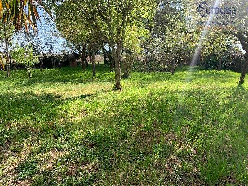 For sale of  in Zamora