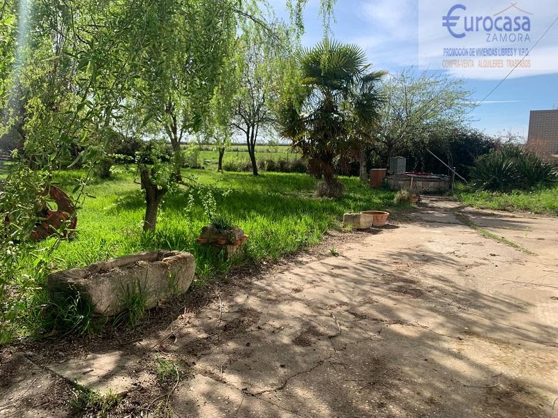For sale of  in Zamora