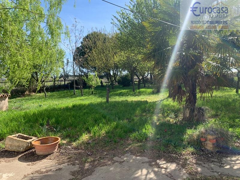 For sale of  in Zamora